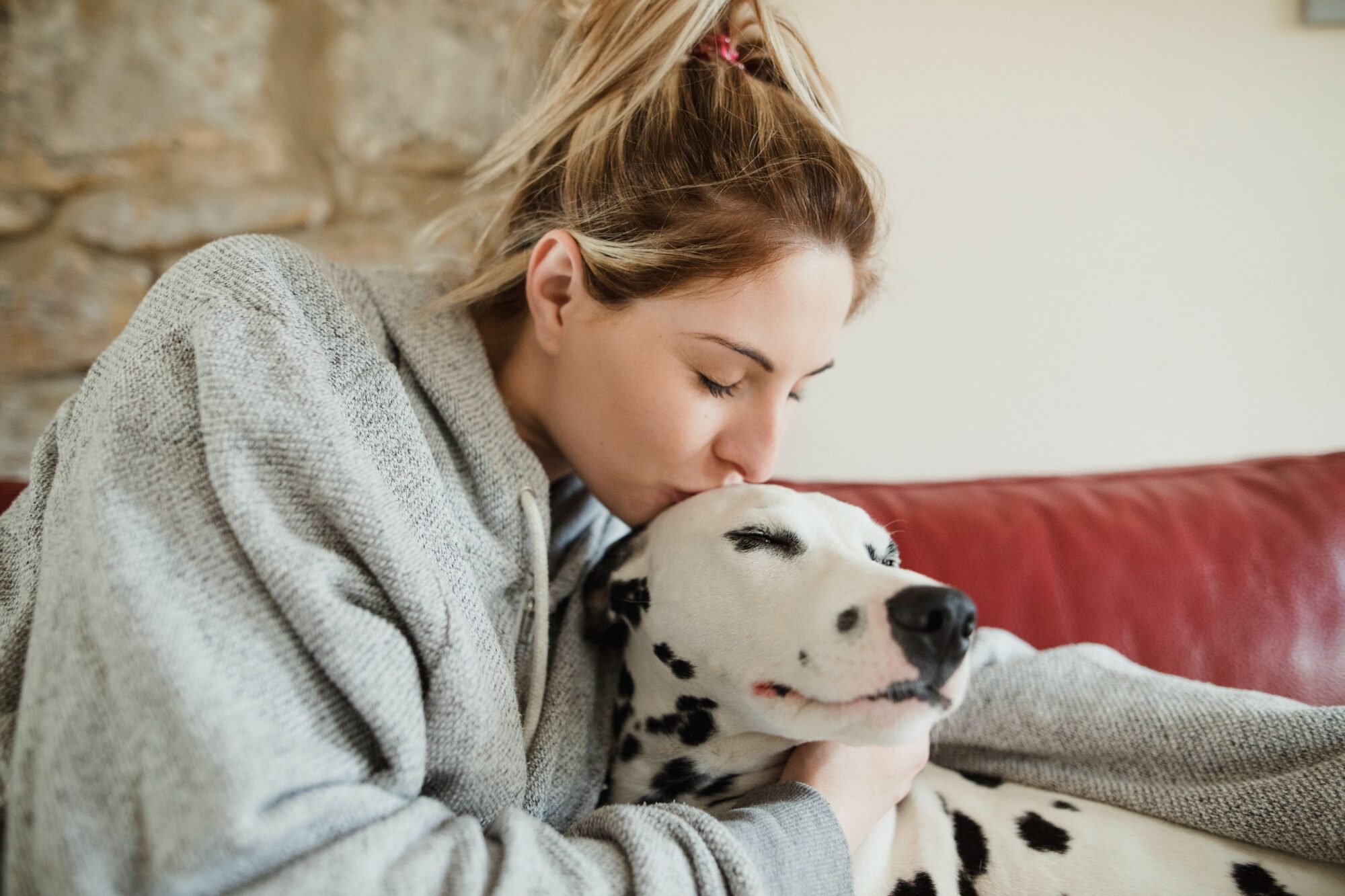 Benefits of Anxiolytics to Keep Your Pet Stress-Free