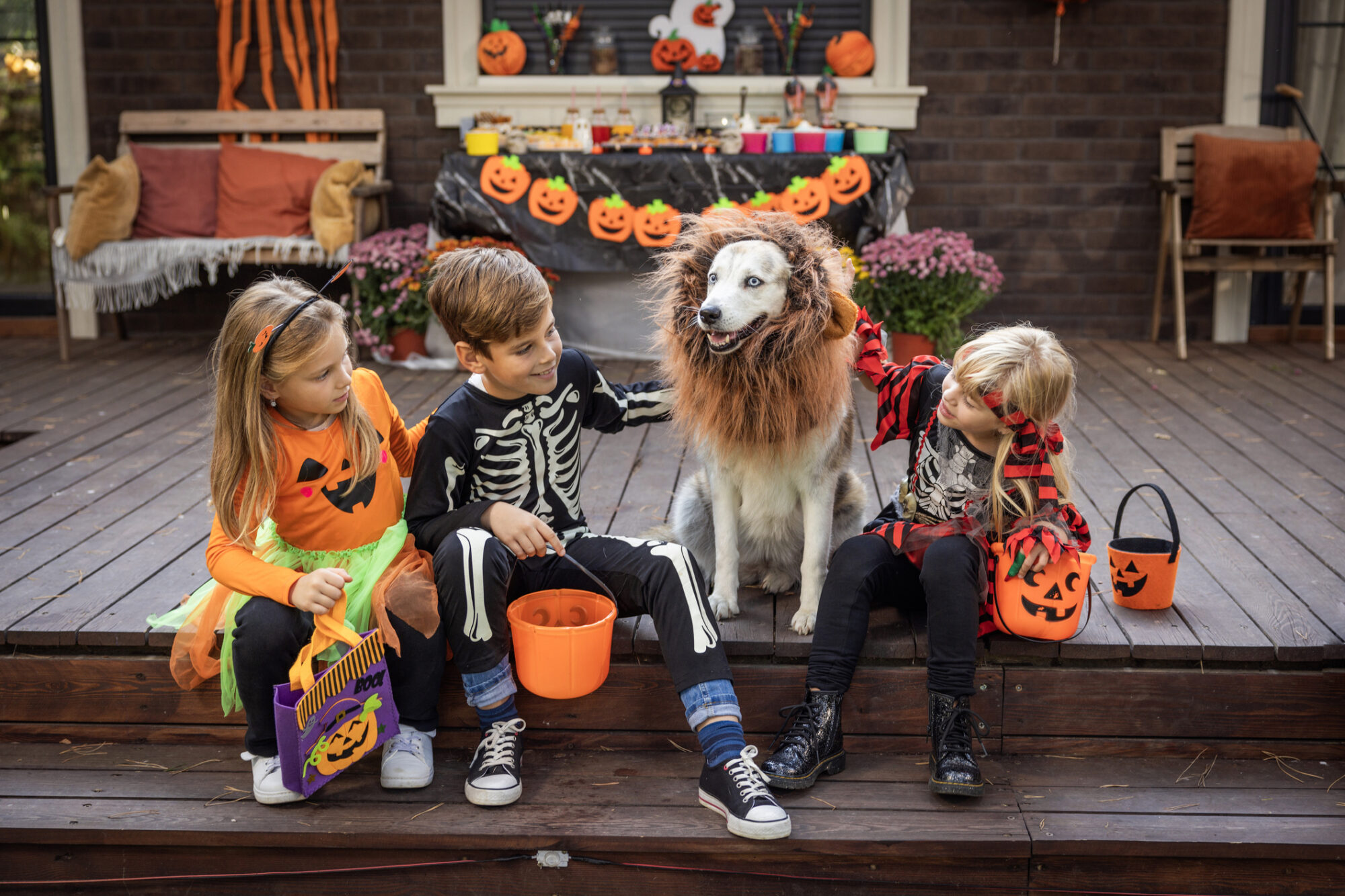 Halloween safety tips for pets.