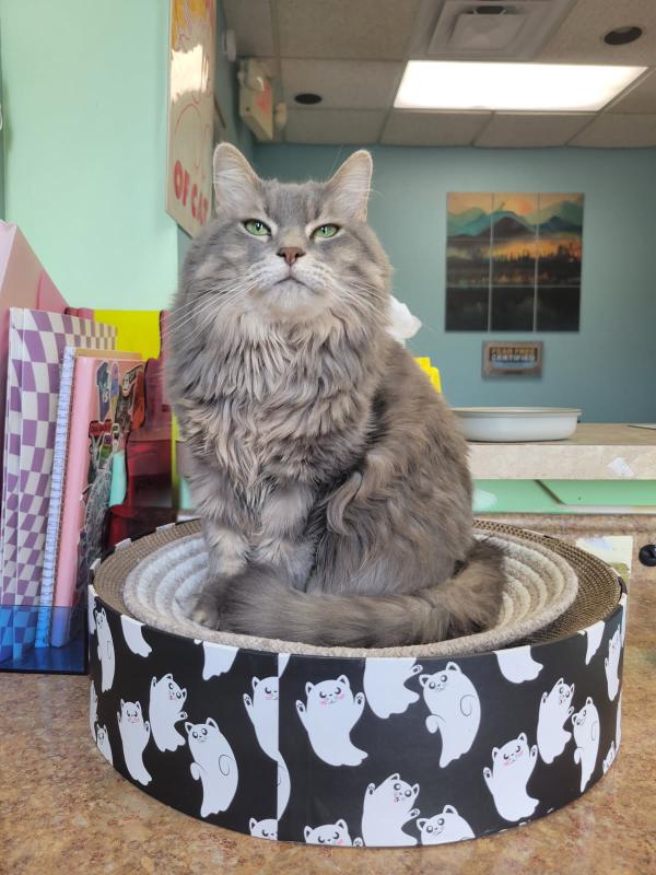 Tuna Murray, Superior